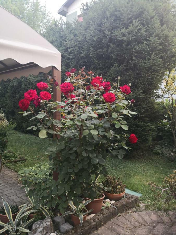 Hotel La Casa di Tino Fontanellato Esterno foto